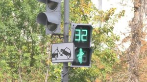 Светофор улица пешеходный переход футаж traffic_lights footage