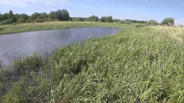 Озеро в городе КИШИТ КАРАСЯМИ /Ловлю руками смотреть онлайн