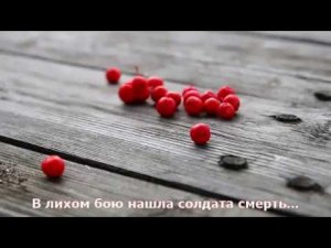 Рябина. (Песни военных лет)
