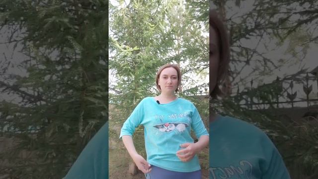 ☘️☘️☘️ хочешь похудеть но не знаешь как, присоединяйся смотреть онлайн