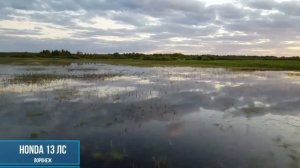 Болотоходы MAX Motor подборка видео