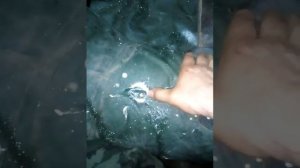 ппу и резиновая лодка