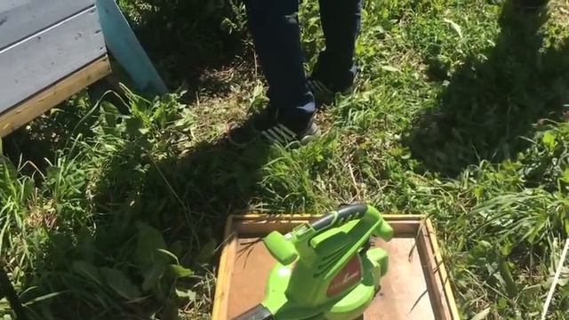 Медосбор закончился.. Лето прошло. смотреть онлайн