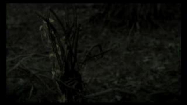 The GazettE - Taion