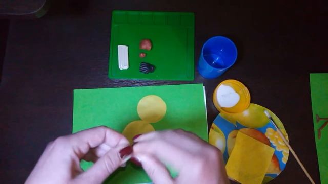 Видео урок Аппликация 2 младшая Цыплята на лугу смотреть онлайн