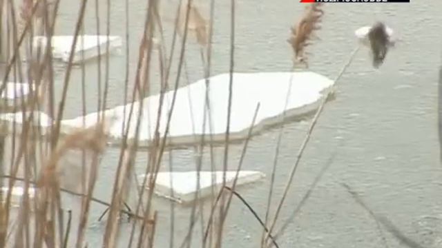 Мужчина спас детей из воды смотреть онлайн