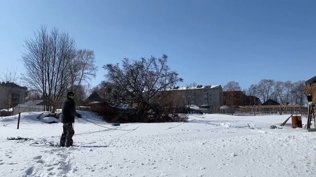 Пробуем убрать дерево с участка , первый опыт смотреть онлайн