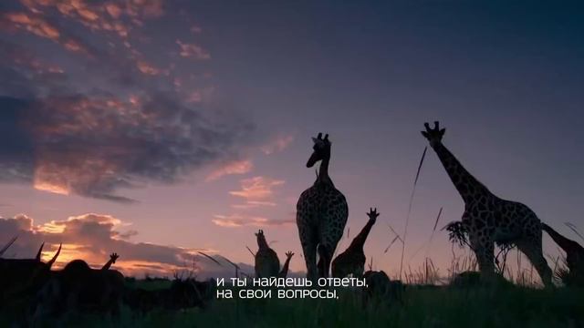 Нашид - Тоска смотреть онлайн