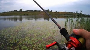 Кара-Чумышское водохранилище. Пробую ловить на лягушку ))