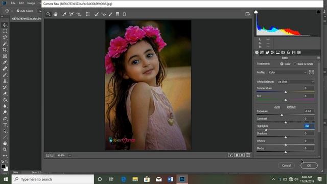 Photoshop Camera Raw смотреть онлайн