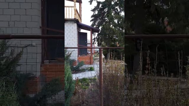 дача в расловке 6