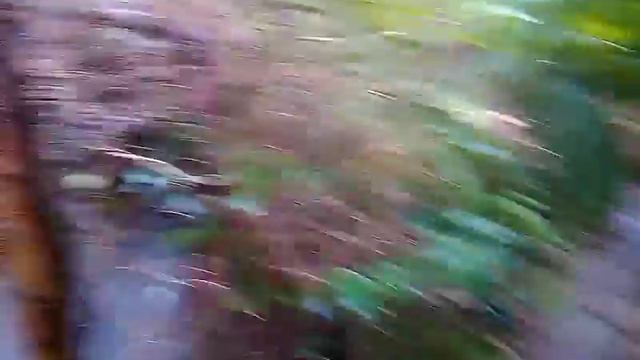 Хоста, февраль 2017, 4 часа на электричке от Краснодара смотреть онлайн