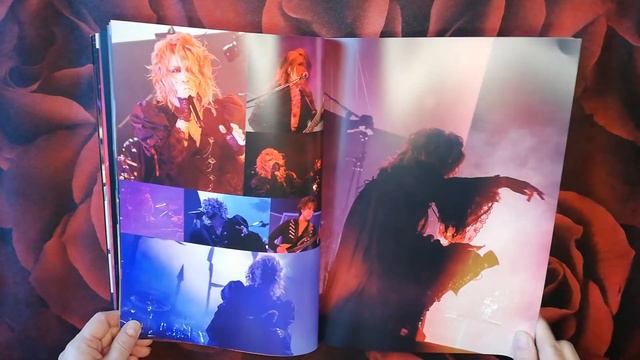 LIVE PAMPHLET "Behind the Mask" + link смотреть онлайн