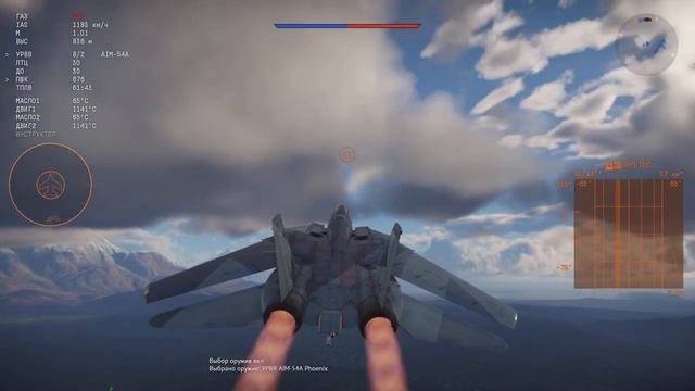 War Thunder F14 и пениксы