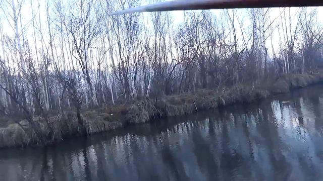 За ЕЛЬЦОМ. Весенняя рыбалка.Май 2017. For The Dace Spring Fishing.
