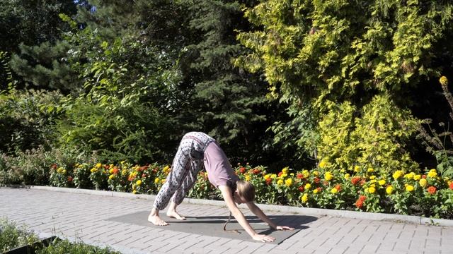 Сурья намаскар. Классический комплекс из 12 асан смотреть онлайн