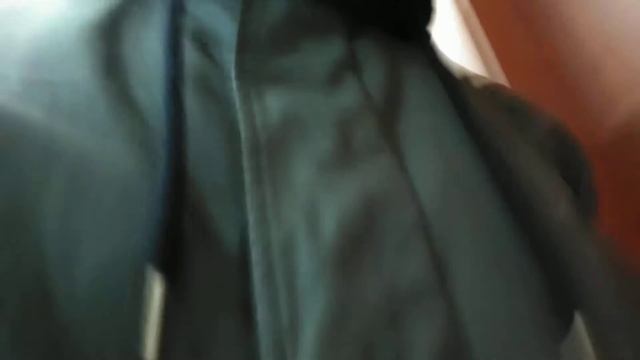 Голосование на выборах президента РФ в г. Сеул, Корея. смотреть онлайн