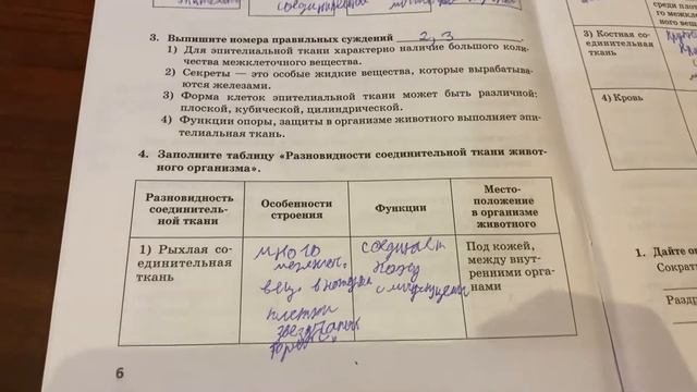 Биология/7 кл/РТ/Тихонова/Ткани животных : эпителиальная и соединительная/16.09.21 смотреть онлайн