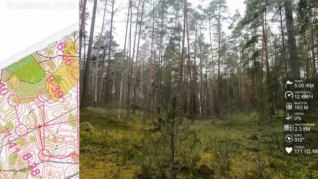 Спортивное ориентирование (headcam orienteering) - Алоль Осенняя 2022, кросс-спринт - 04.11.22 смотреть онлайн