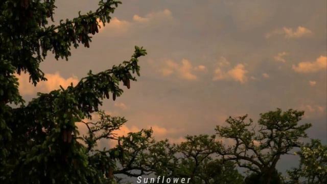 Here Comes The Sun - The Beatles (Subtitulada) смотреть онлайн