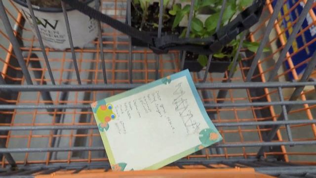 DIY Outdoor Box Turtle Enclosure | how to make a tortoise habitat смотреть онлайн