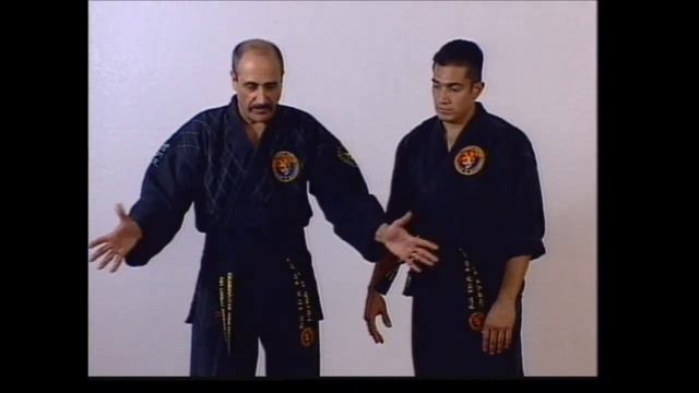 Hapkido Brown belt program in Combat Hapkido ( Chon-Tu Kwan Hapkido 전투관 합기도) смотреть онлайн