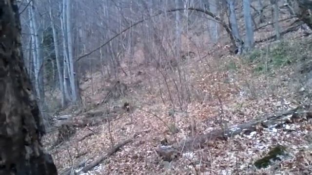 Granne vBelmeken смотреть онлайн