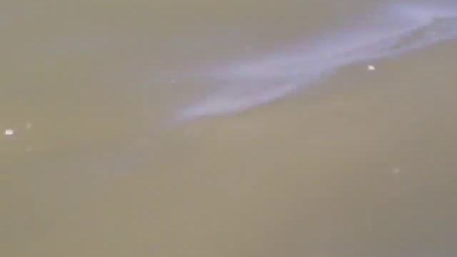 Ейский лиман. Рыбалка. смотреть онлайн