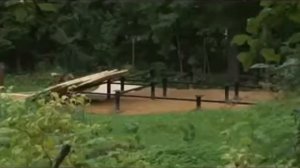 ворота распашные на винтовых сваях
