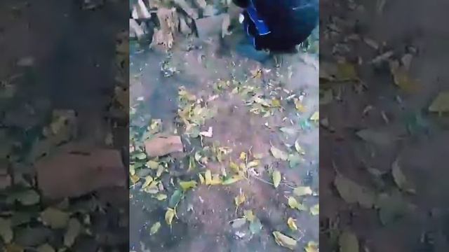 Как рубають дрова смотреть онлайн