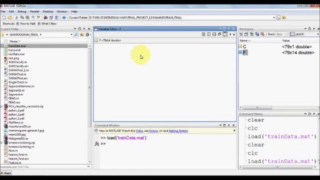 Mammogram Classification смотреть онлайн