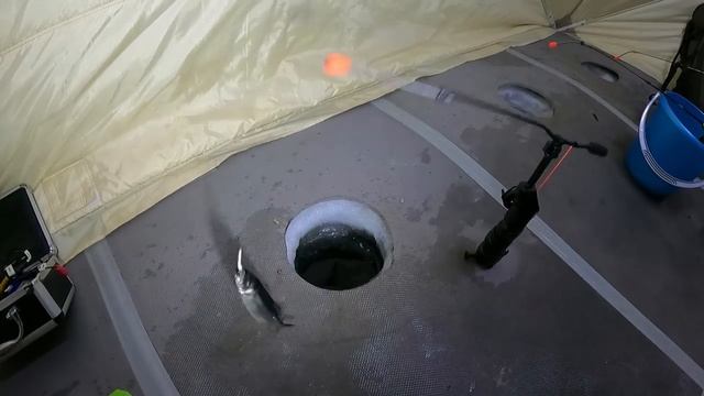 ЛОВИМ "НАРОДНУЮ РЫБКУ" / CATCH THE "PEOPLE'S FISH" смотреть онлайн