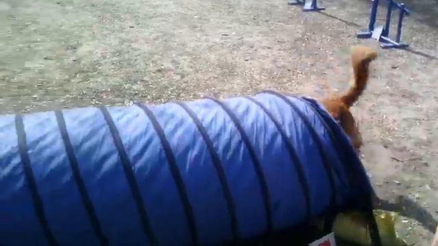Тренировка 09 04 2016 смотреть онлайн