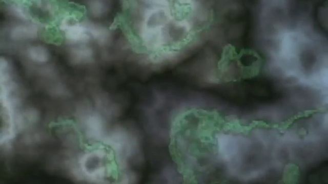 Venus Rising Trailer 1995 смотреть онлайн