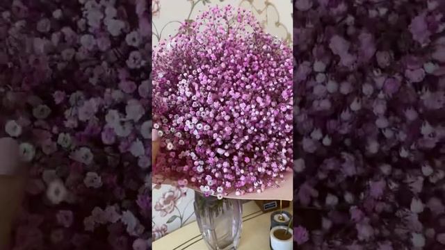 Любимые Цветы и любимая кухнях смотреть онлайн