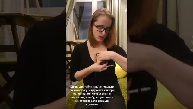 Как выпоить крысу из шприца смотреть онлайн