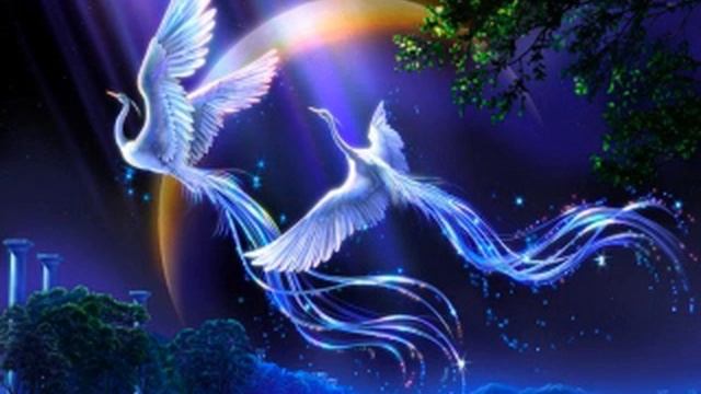 Сказка про страну Нерях