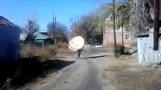 Антенна на велосипеде))) смотреть онлайн