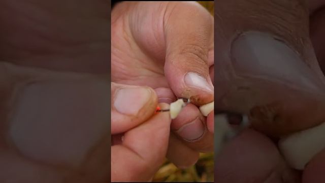 Ловим карася на чеснок! смотреть онлайн