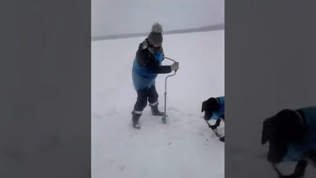 Как правильно сверлить лунки , приколы на рыбалке))))) смотреть онлайн