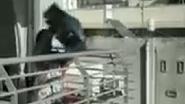 Супер ссора, жена выгнала мужа, супер прикол!!! смотреть онлайн