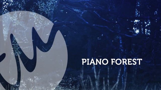 Piano Forest | Piano Music To Relax, Sleep, Focus, Study, Meditate | Hour Compilation