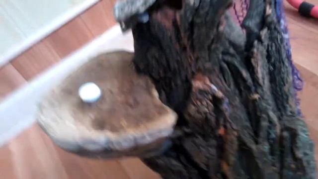 Сказочный домик для летучей мыши. смотреть онлайн