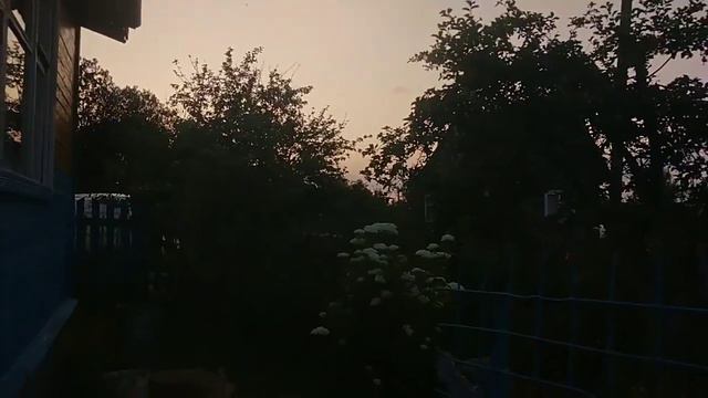 дачный влог/ тихие дни на даче, поездка на озеро, недосып и корейский🍓 смотреть онлайн