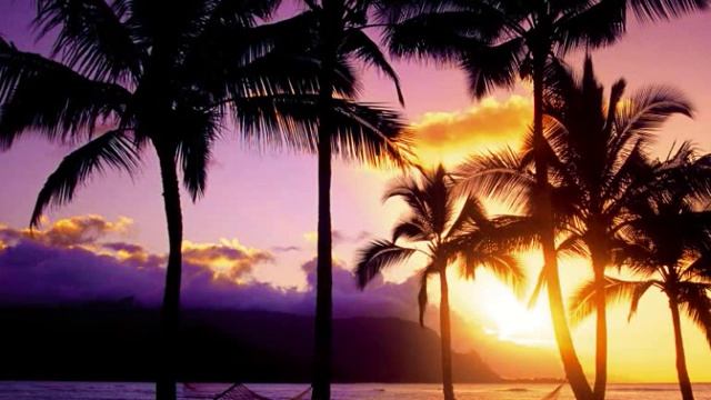 Yves Larock - Say Yeah