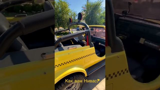 Бодрый Нивас #нива #видеография #автотюнинг #тюнинг #академик #синдикат #автопром #лада смотреть онлайн