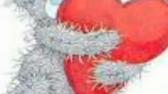 14 февраля. Слайды смотреть онлайн