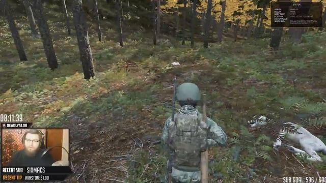 DAYZ .61 GAMEPLAY - AK101 & WOLVES ATTACK смотреть онлайн