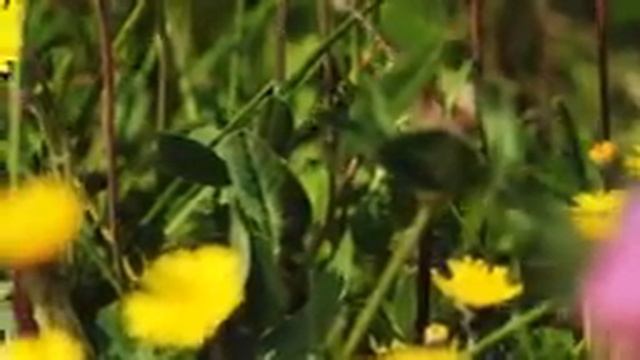 Mузыка релакс, Невероятно вдохновляющая и Бесконечно КРАСИВАЯ МУЗЫКА для души... Сергею Чекалину смотреть онлайн