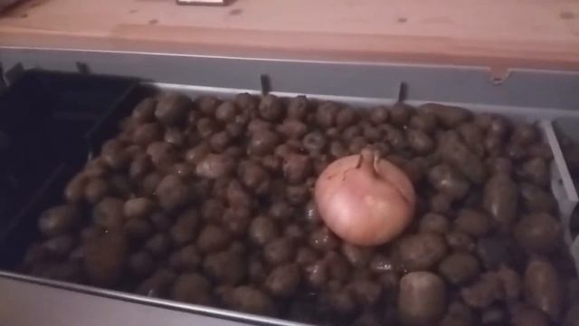 Фитофильтр своими руками Аквариум JEBO смотреть онлайн